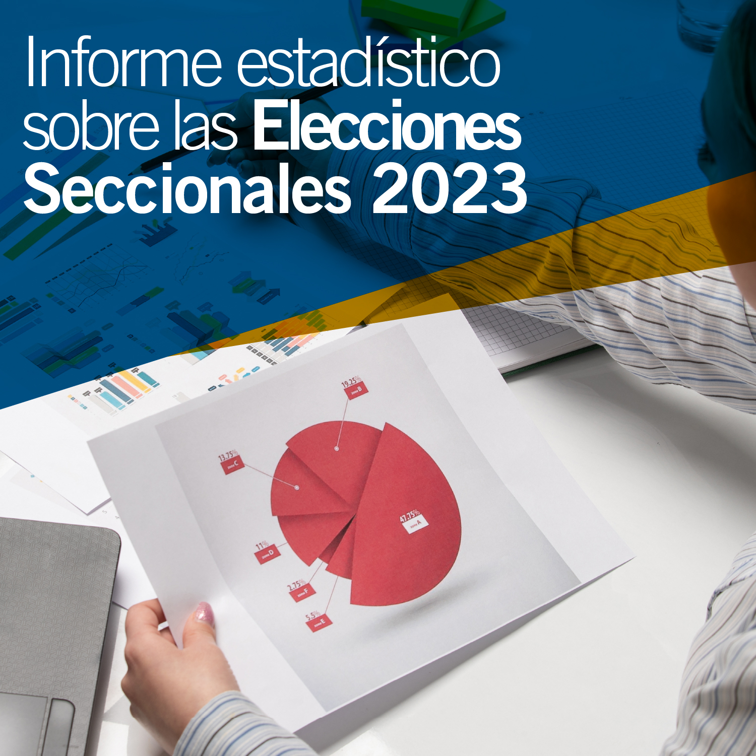 INFORME ESTADÍSTICO SOBRE LAS ELECCIONES SECCIONALES 2023 INSTITUTO