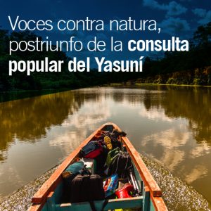 Yasuni