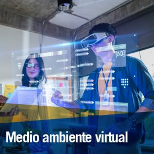 medio ambiente virtual