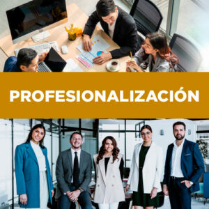 profesionalizacion