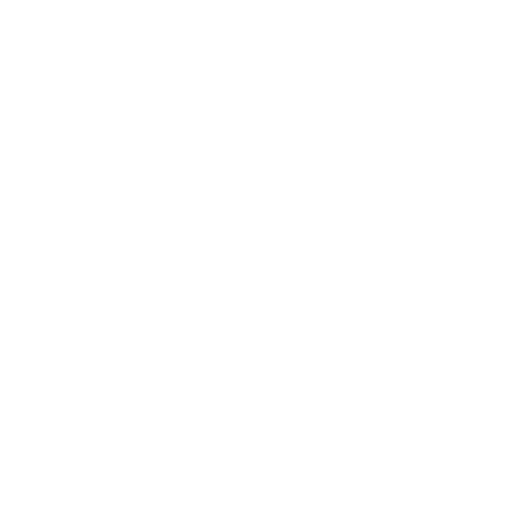 Rompiendo Barreras